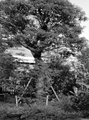 句容注册公司